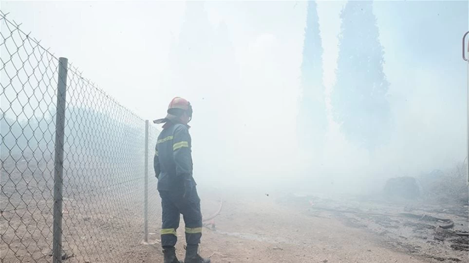 Αστεροσκοπείο Αθηνών: Φέτος έχουν καεί λιγότερες εκτάσεις σε σχέση με την προηγούμενη δεκαετία